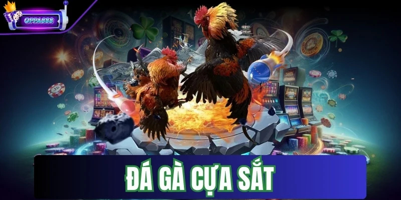 Đá Gà Cựa Sắt - Hình Thức Đấu Gà Phổ Biến Nên Chơi Ngay 1 da ga cua sat
