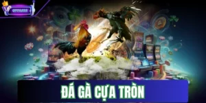 da ga cua tron